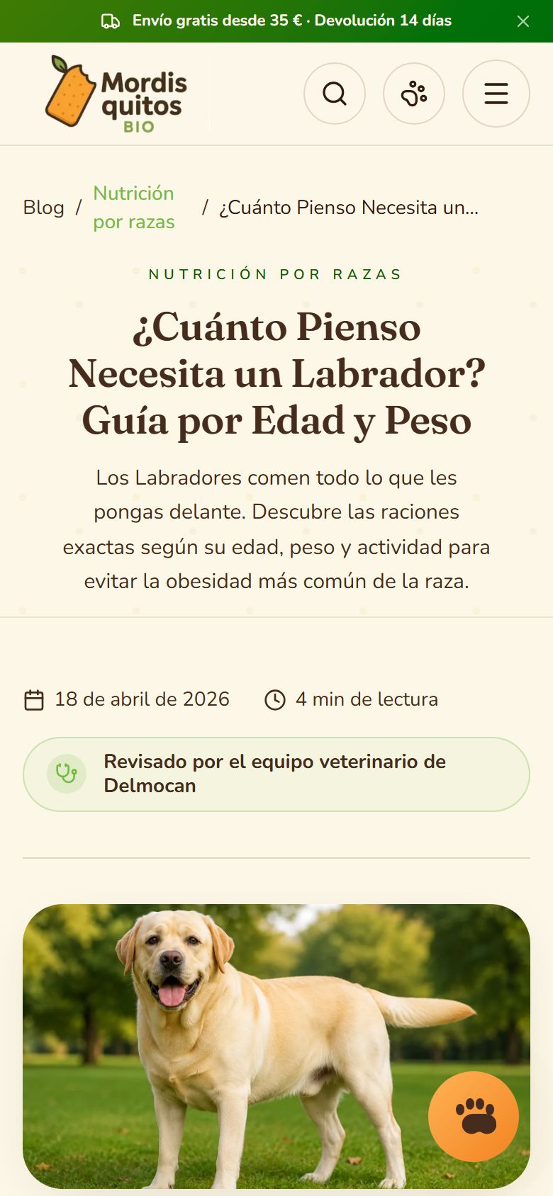 Guida del blog di mordisquitosbio.com su smartphone: quante crocchette servono a un labrador, per età e peso.